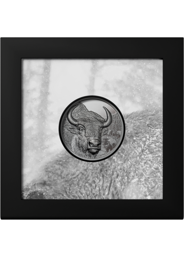 蒙古 モンゴル 蒙古 モンゴル ZXauto Mongolia